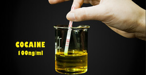 cocaine in urine image