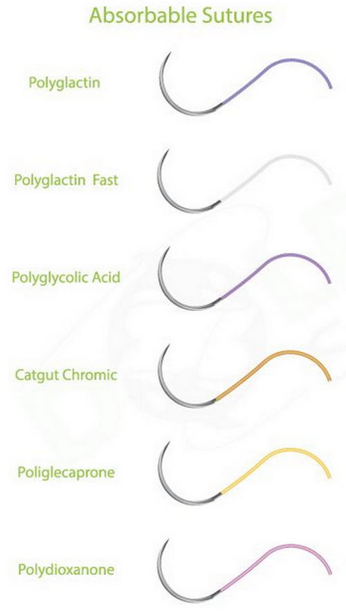 The different types of absorbable sutures image photo picture