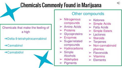 There are tons of chemicals found in marijuana but the most common ones are THC and cannabidiol image photo picture
