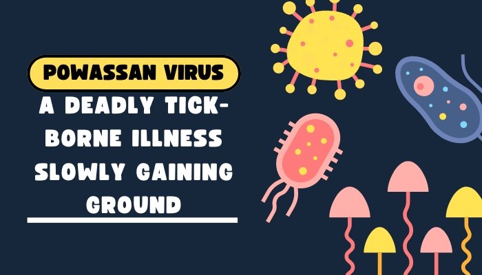 Powassan Virus: A Deadly Tick-Borne Illness Slowly Gaining Ground