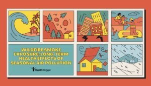 Wildfire Smoke Exposure Long-Term Health Effects of Seasonal Air Pollution