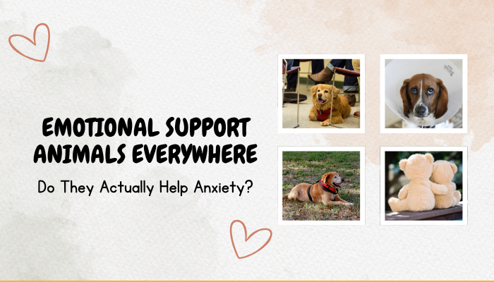 Emotional Support Animals Everywhere- Do They Actually Help Anxiety?